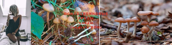 дмт Заволжье
