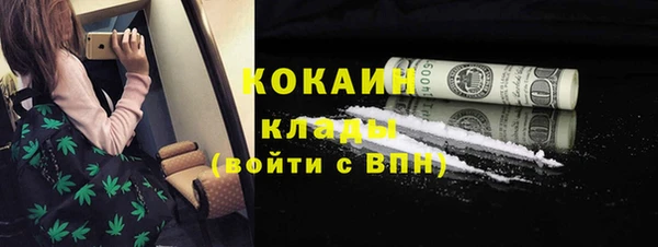 гидра Заводоуковск