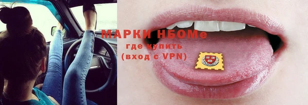 гидра Заводоуковск