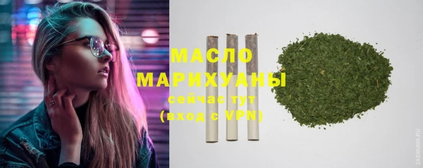 гидра Заводоуковск