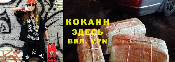 гидра Заводоуковск