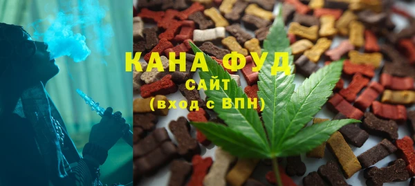гидра Заводоуковск